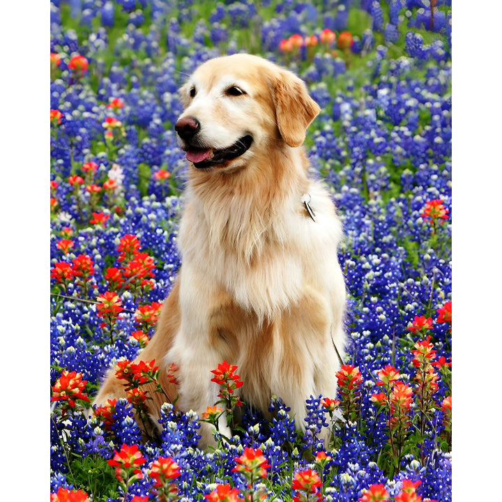 Golden Retriever Floral | Diamond Painting