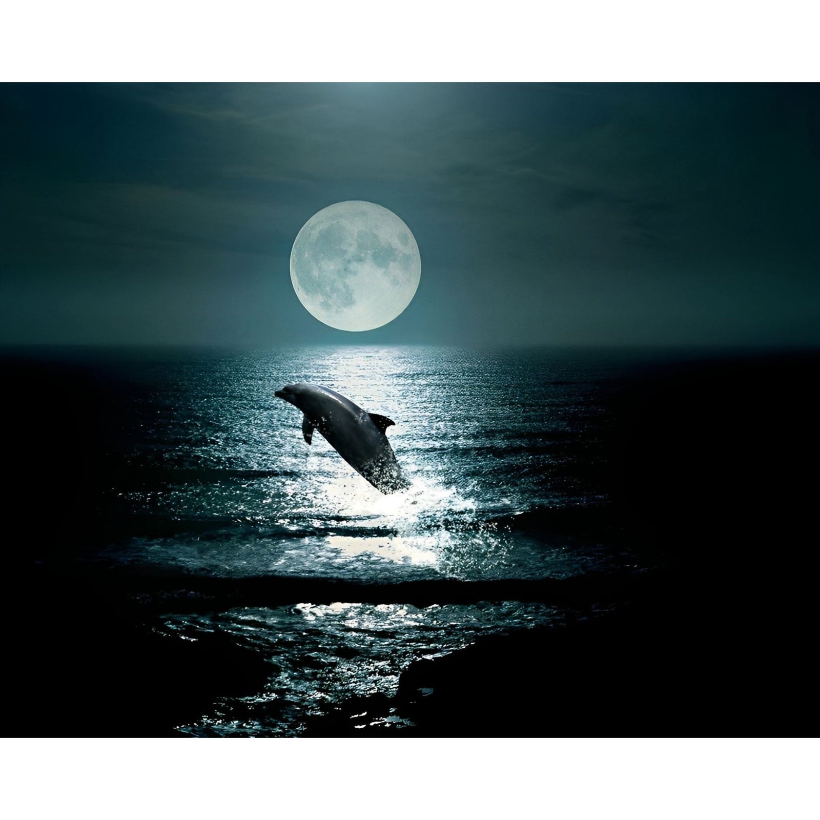 Dolphin at Midnight | Diamond Painting Design - Full Drill Diamond Art with 5d Square or Round Diamonds - AB Drills Available