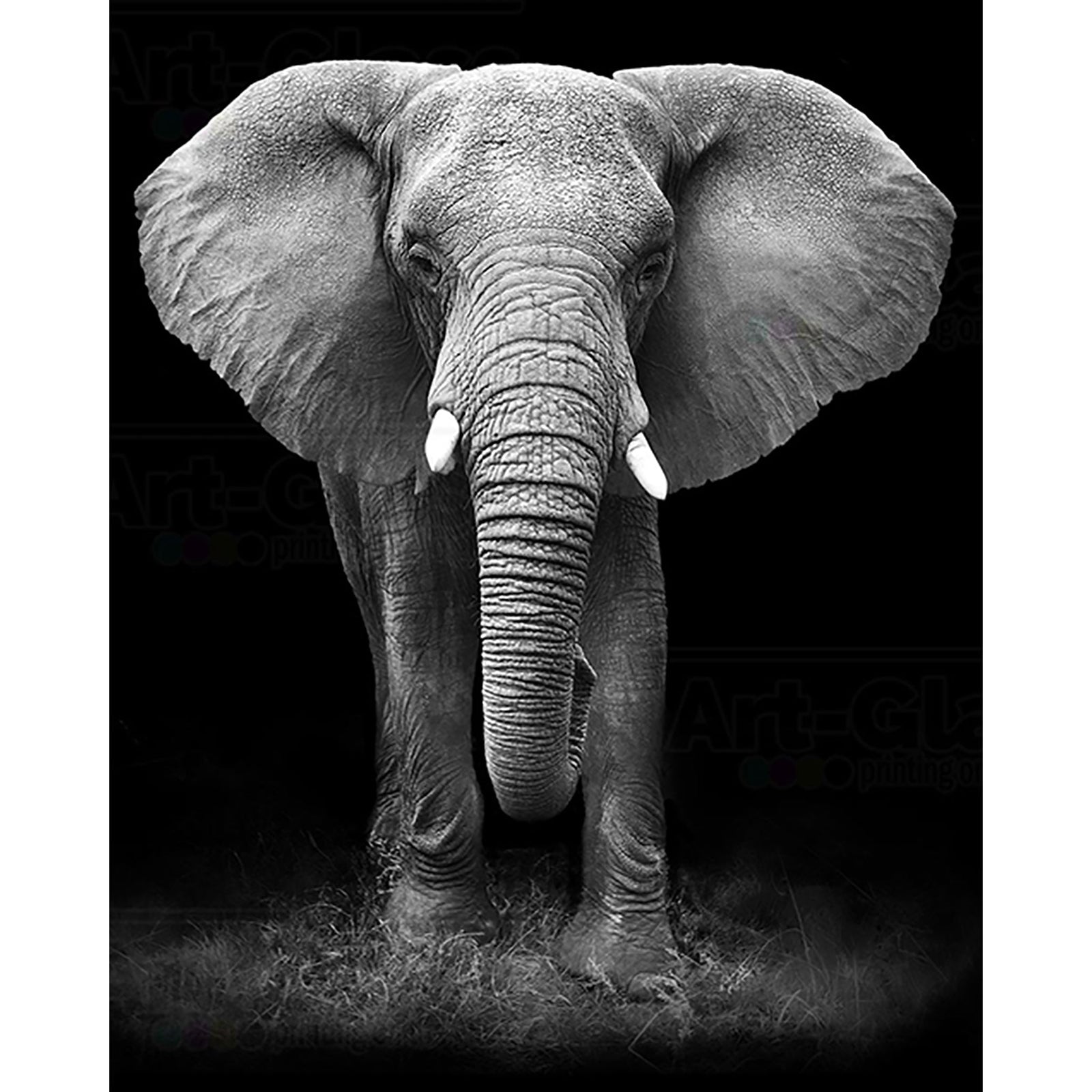 African Elephant | Diamond Painting Design - Full Drill Diamond Art with 5d Square or Round Diamonds - AB Drills Available