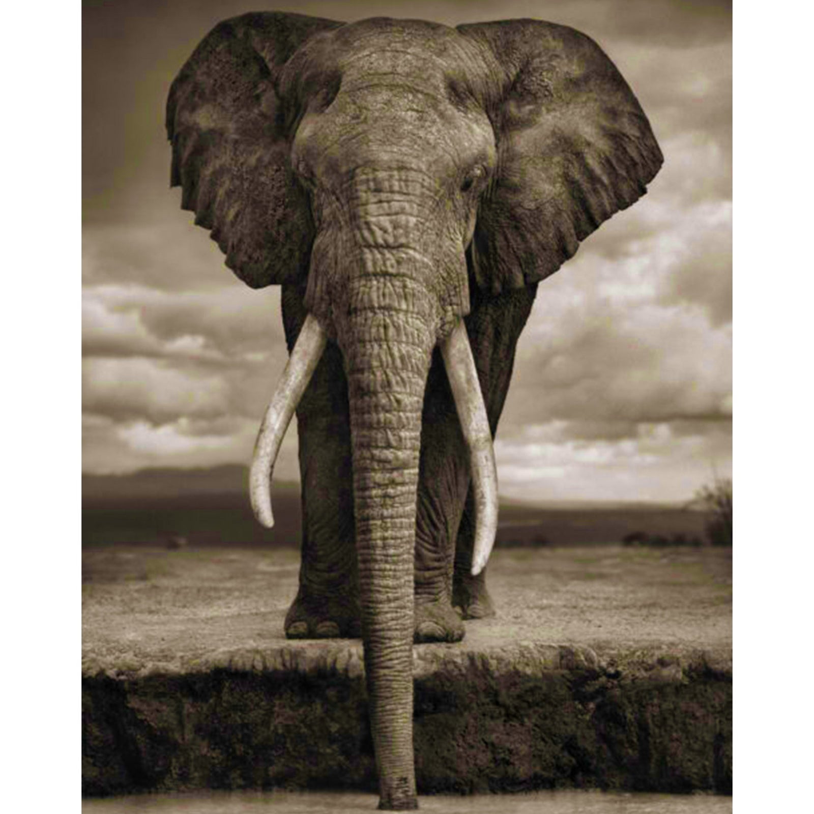 Elephant by the Watering Hole | Diamond Painting Design - Full Drill Diamond Art with 5d Square or Round Diamonds - AB Drills Available