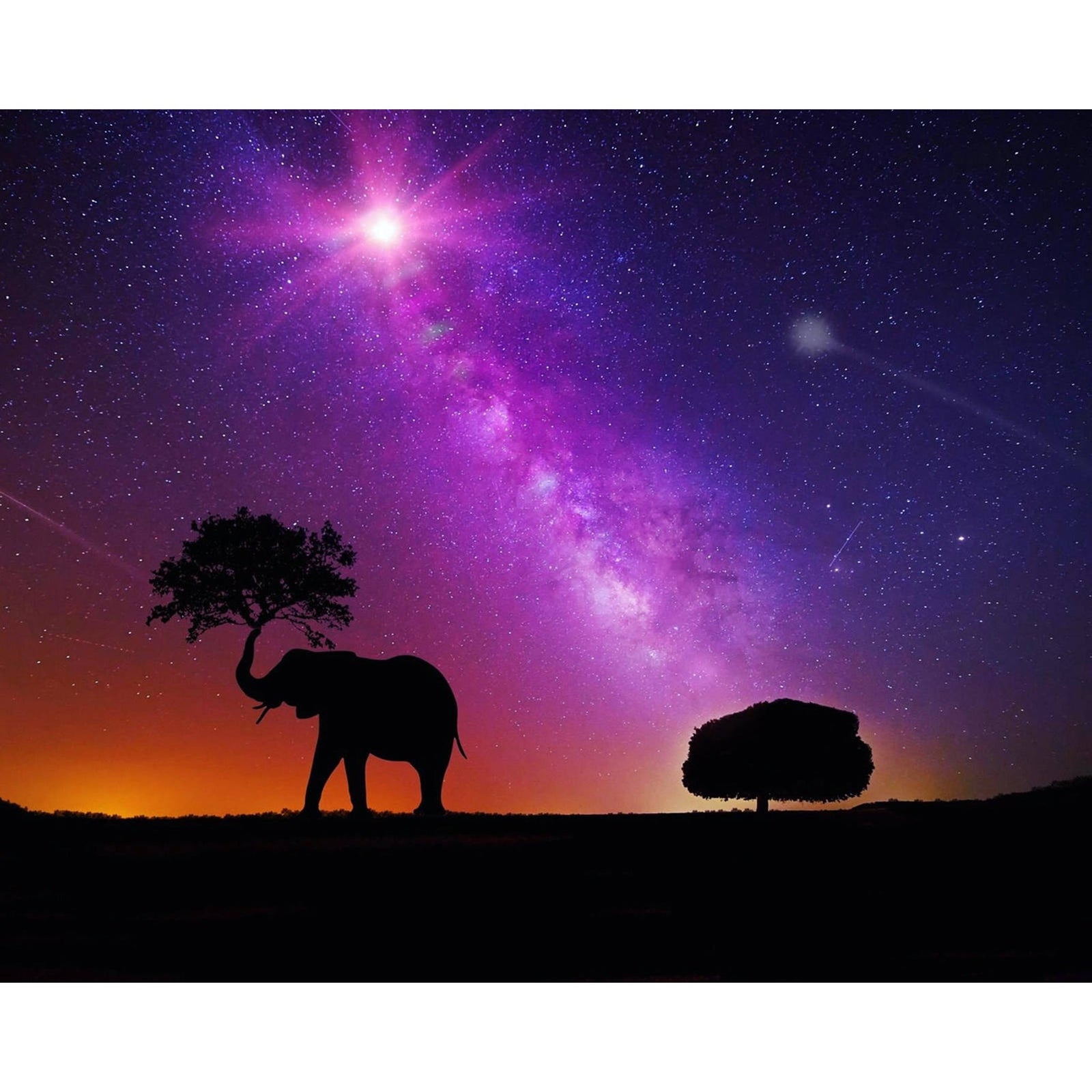 Elephant in Another Galaxy | Diamond Painting Design - Full Drill Diamond Art with 5d Square or Round Diamonds - AB Drills Available