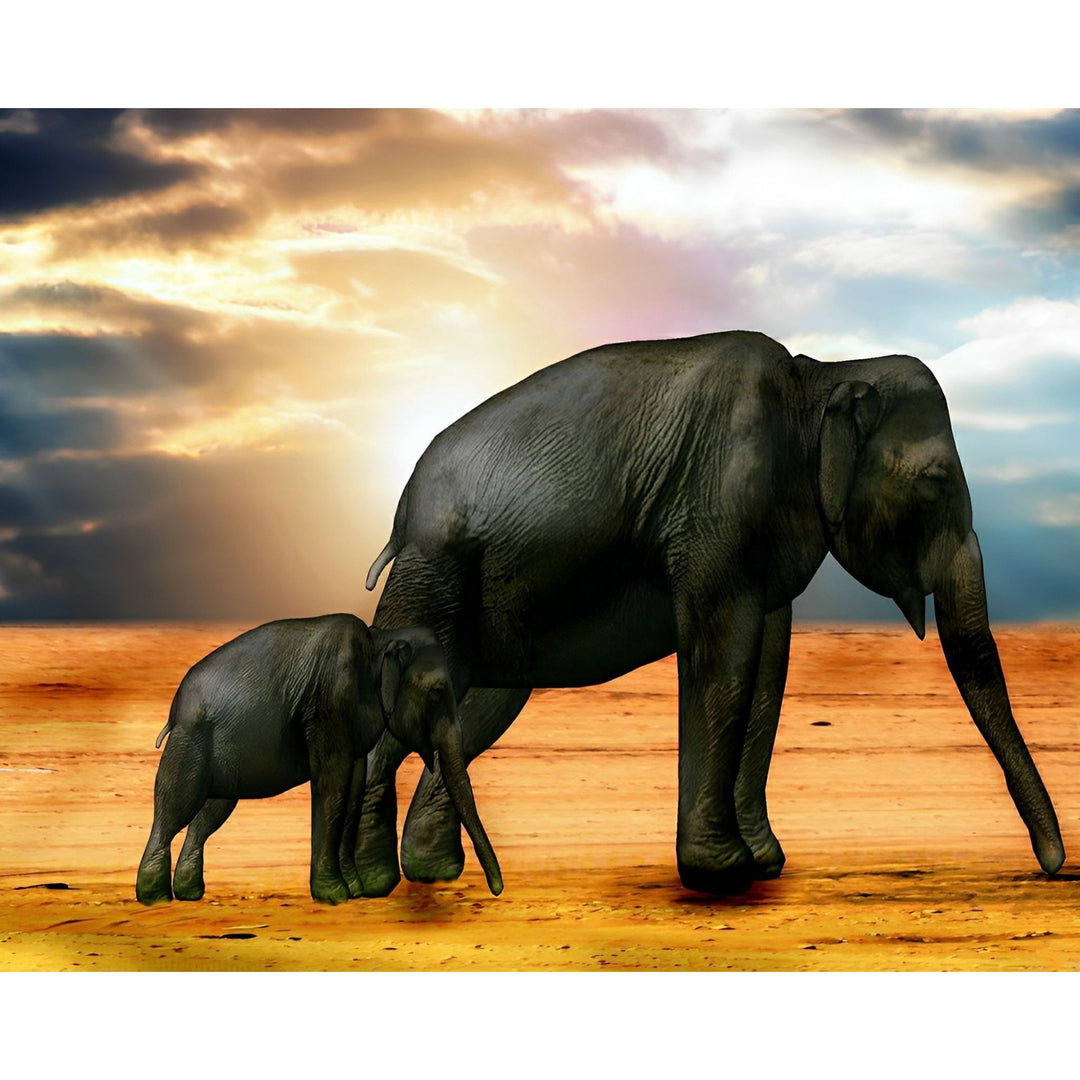 Mother and Daughter Elephant | Diamond Painting