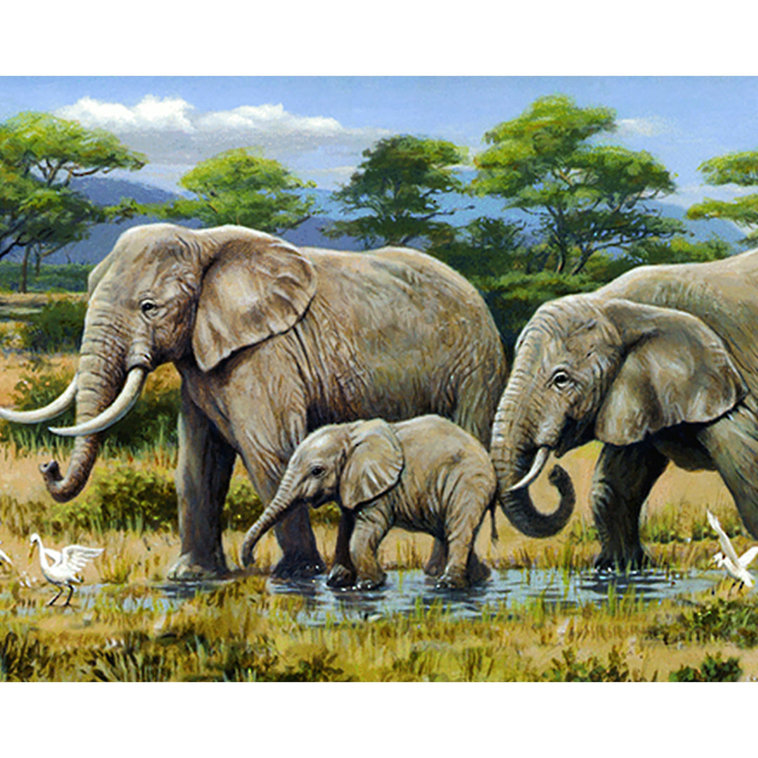 African Safari | Diamond Painting