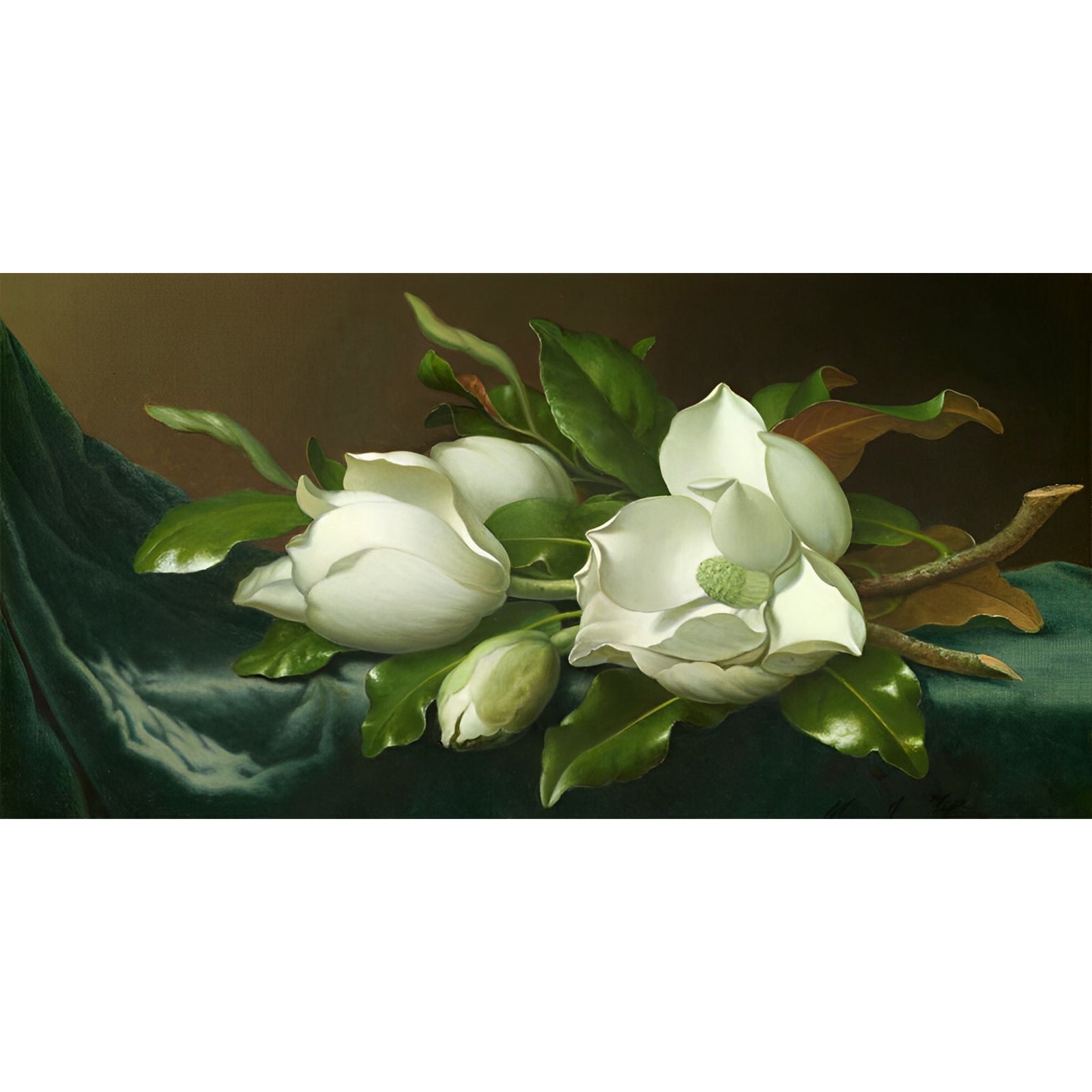 Magnolias on Light Blue Velvet Cloth | Diamond Painting Design - Full Drill Diamond Art with 5d Square or Round Diamonds - AB Drills Available