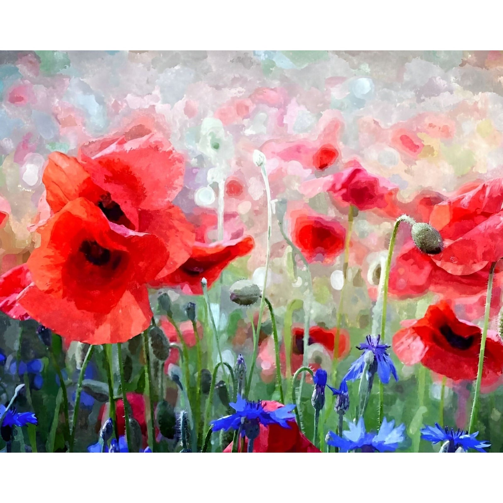 Red Poppies and Blue Cornflowers | Diamond Painting Design - Full Drill Diamond Art with 5d Square or Round Diamonds - AB Drills Available