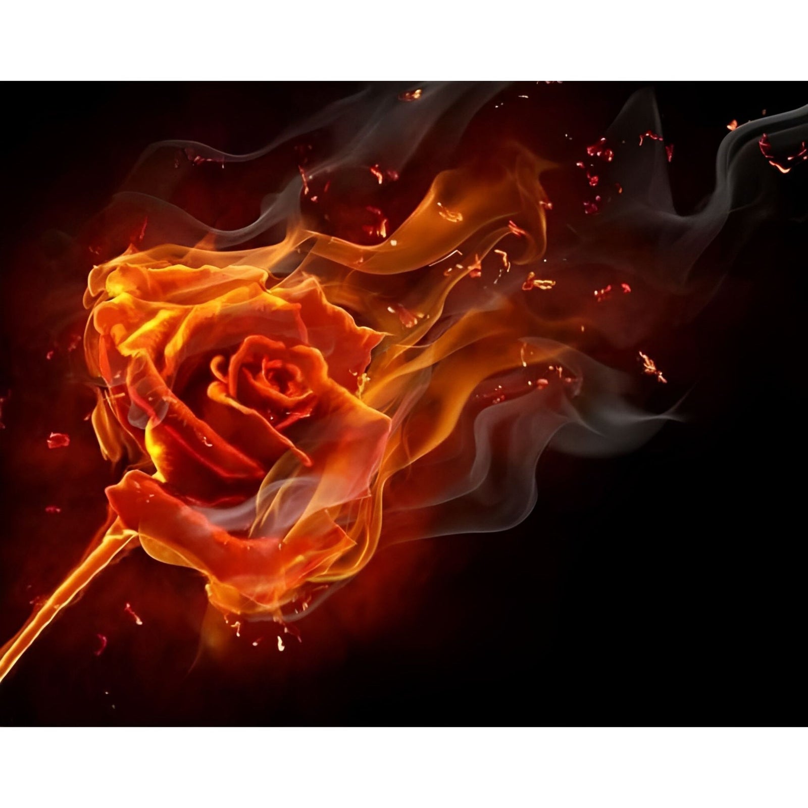 Rose on Fire | Diamond Painting Design - Full Drill Diamond Art with 5d Square or Round Diamonds - AB Drills Available