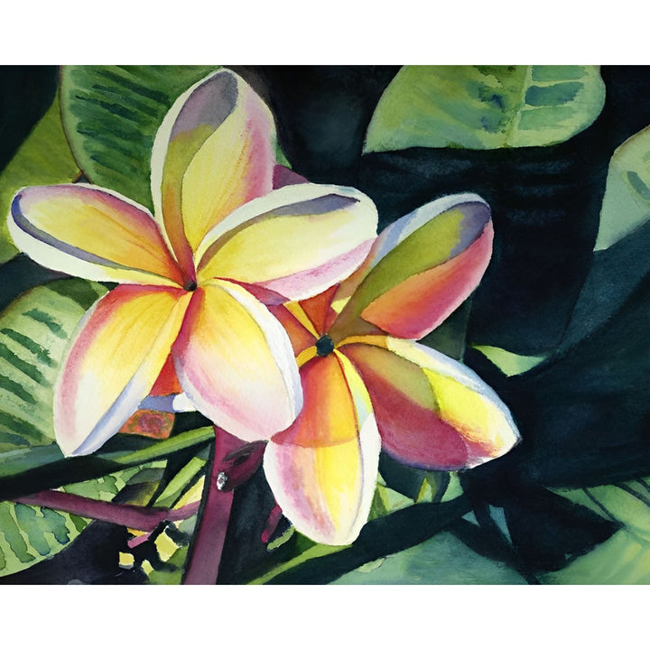 Rainbow Plumeria | Diamond Painting