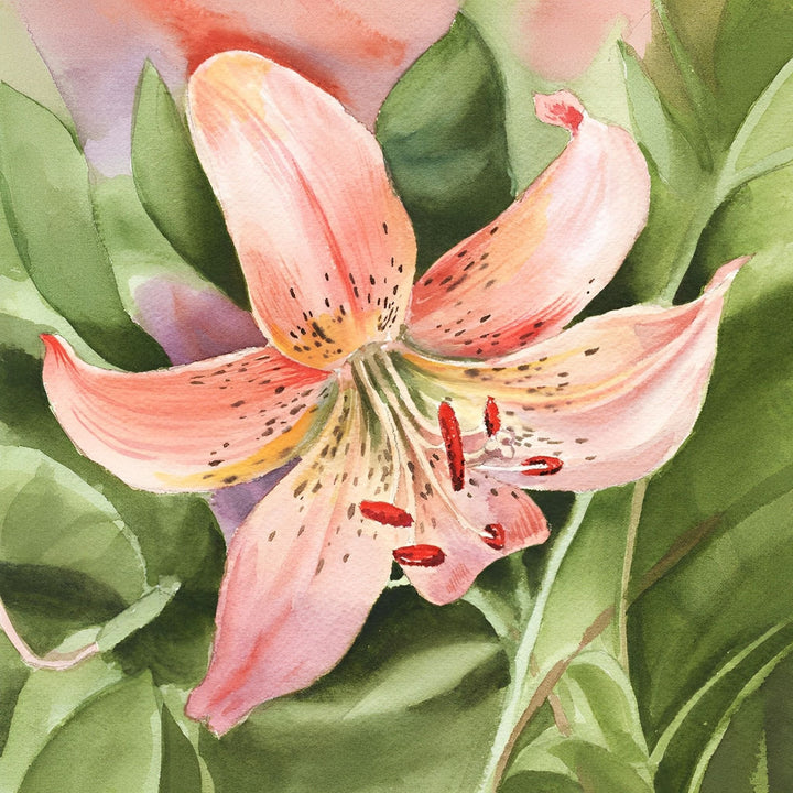 Tiger Lily Watercolor by Irina Sztukowski | Diamond Painting