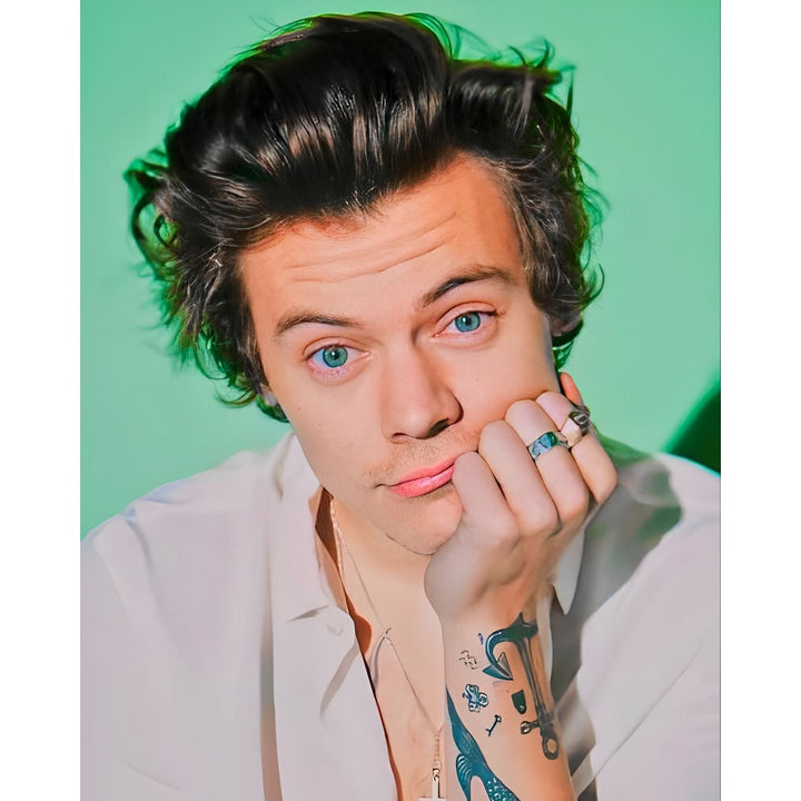 Harry Styles | Diamond Painting