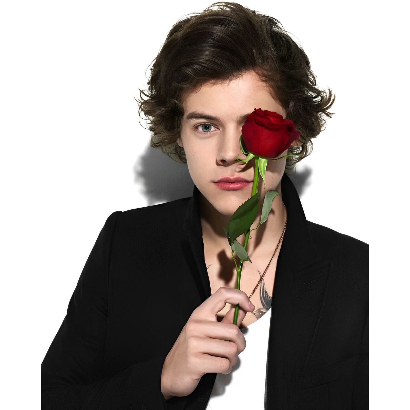 Harry Styles and Rose | Diamond Painting Design - Full Drill Diamond Art with 5d Square or Round Diamonds - AB Drills Available