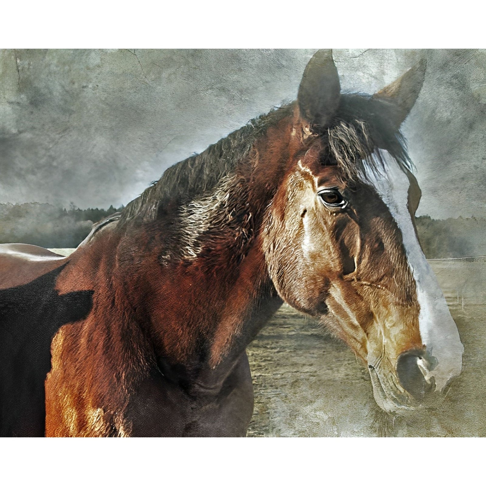 Good Old Horse | Diamond Painting Design - Full Drill Diamond Art with 5d Square or Round Diamonds - AB Drills Available