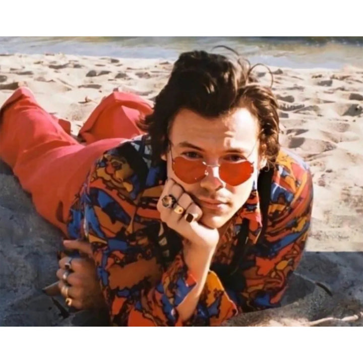 Harry Styles Malibu Beach | Diamond Painting