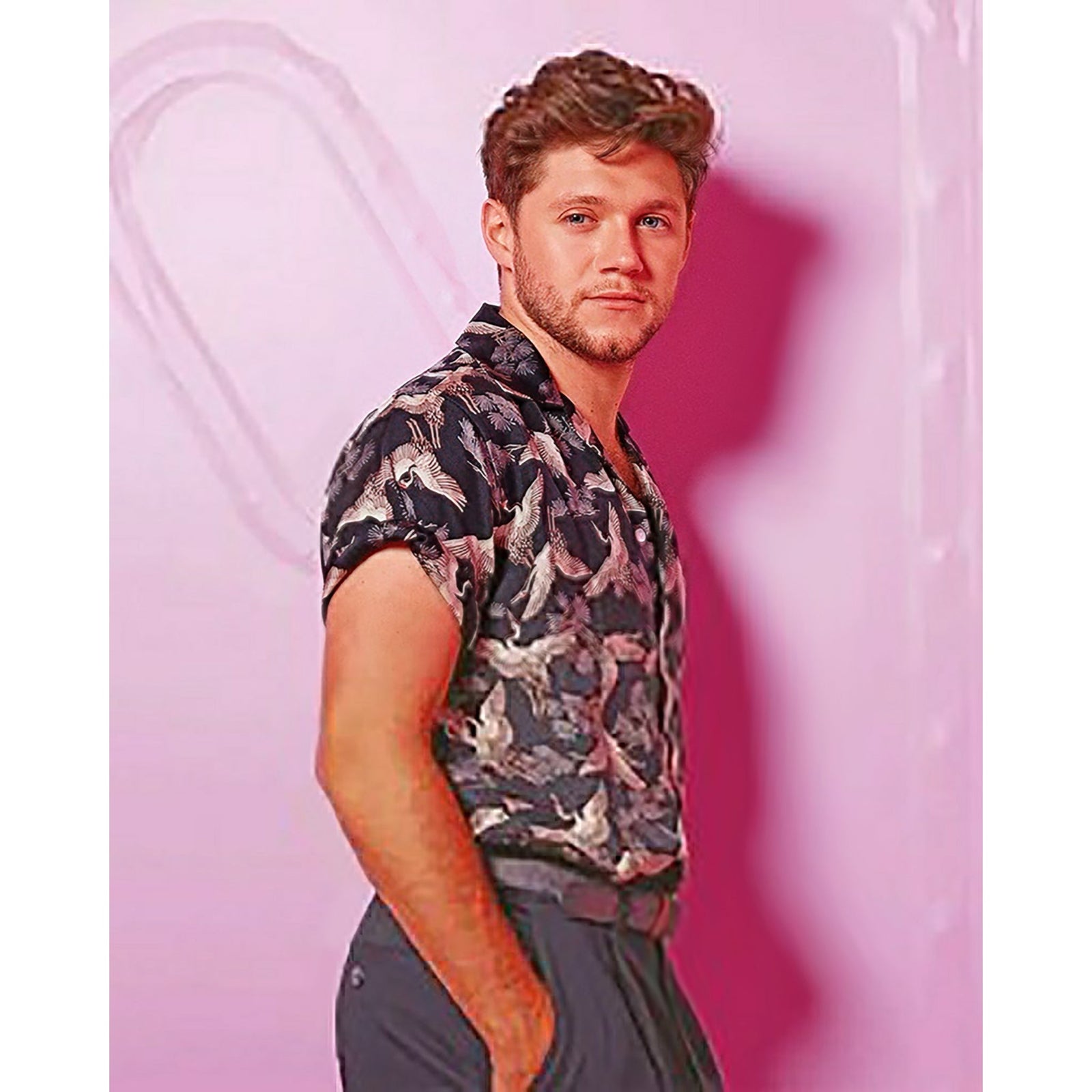 Handsome Niall Horan | Diamond Painting Design - Full Drill Diamond Art with 5d Square or Round Diamonds - AB Drills Available