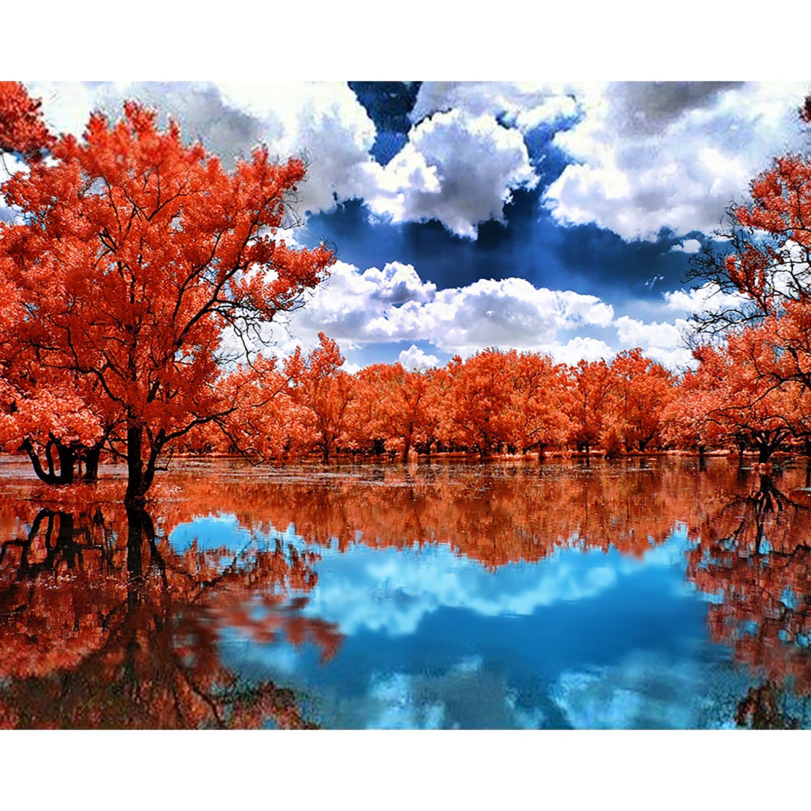 Autumn Scenery | Diamond Painting Design - Full Drill Diamond Art with 5d Square or Round Diamonds - AB Drills Available