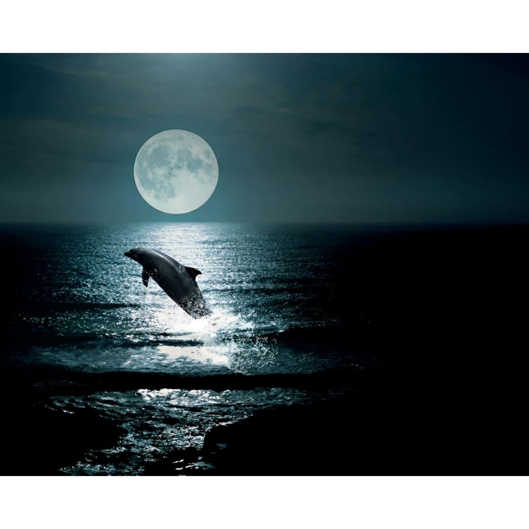 Dolphin at Midnight | Diamond Painting