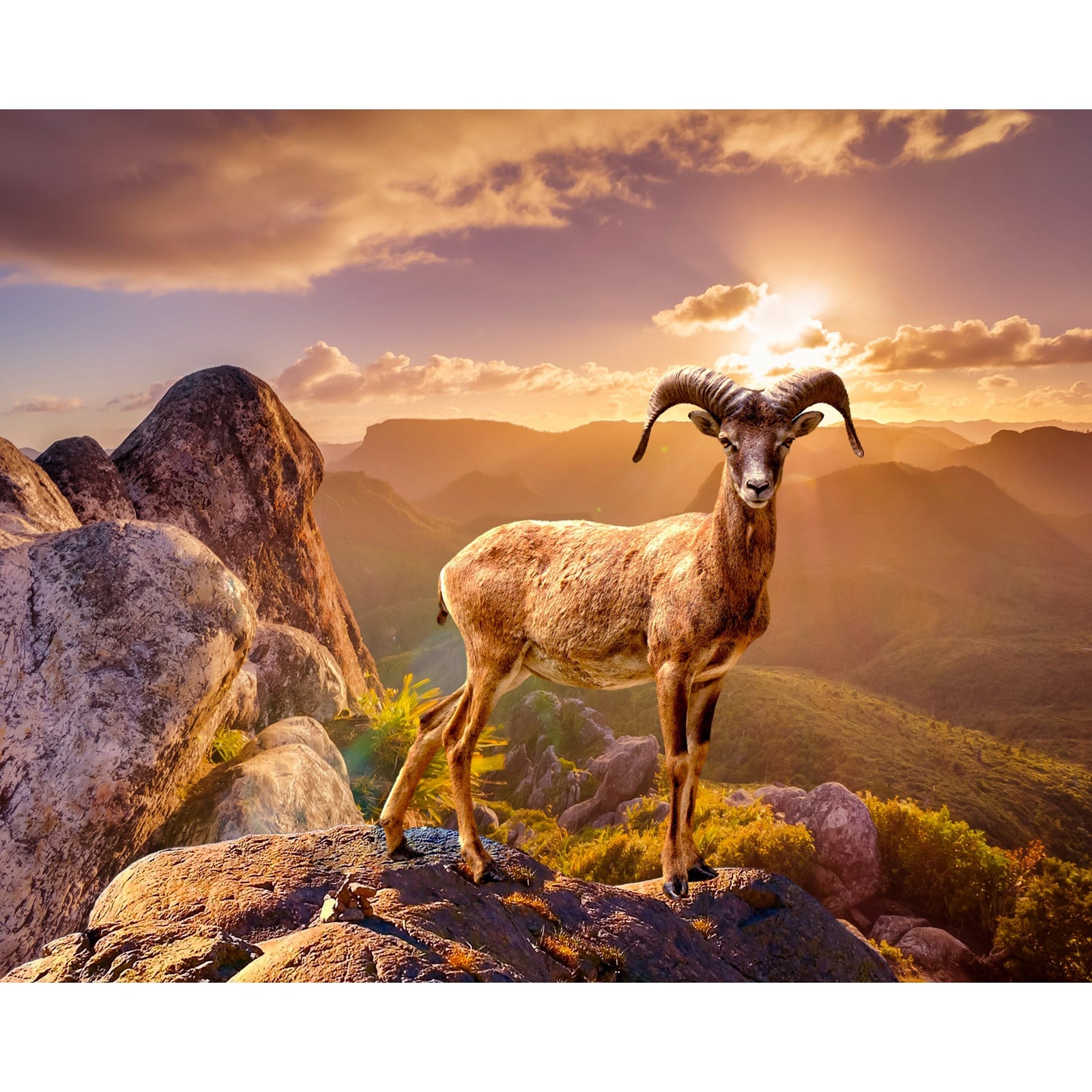 Goat on the Mountain | Diamond Painting Design - Full Drill Diamond Art with 5d Square or Round Diamonds - AB Drills Available