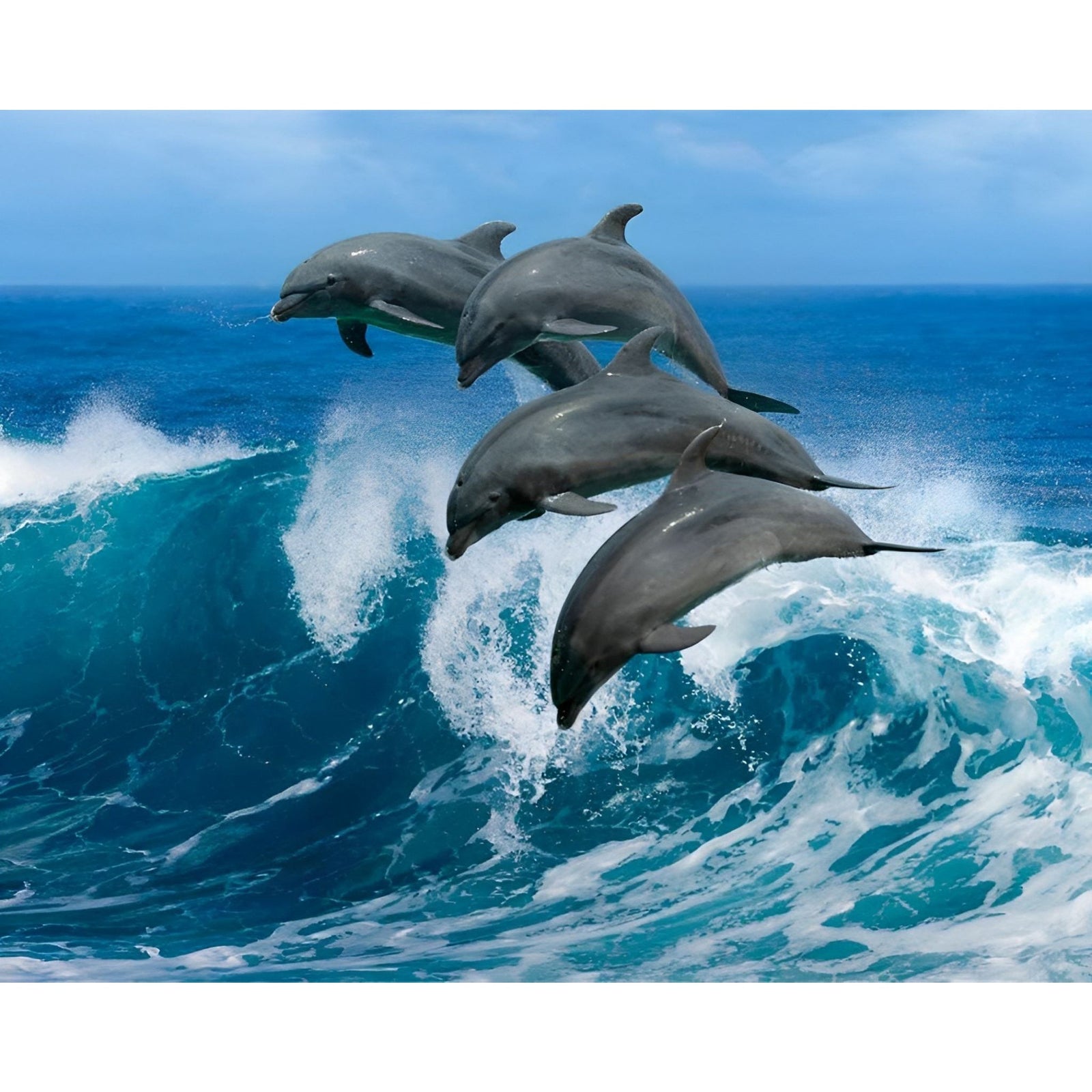 Dolphins Leaps | Diamond Painting Design - Full Drill Diamond Art with 5d Square or Round Diamonds - AB Drills Available