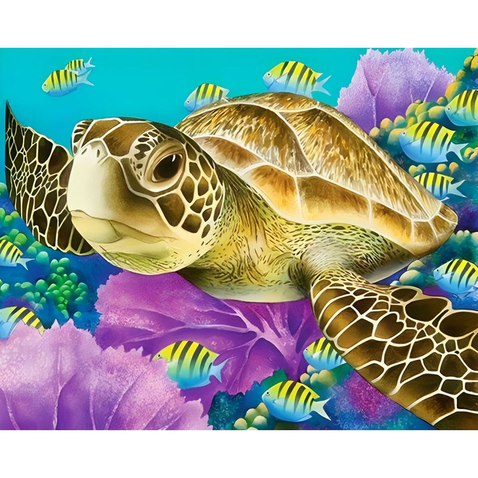 Sea Turtle Close-up | Diamond Painting Design - Full Drill Diamond Art with 5d Square or Round Diamonds - AB Drills Available