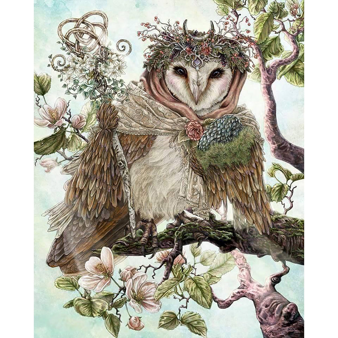 Owl | Diamond Painting