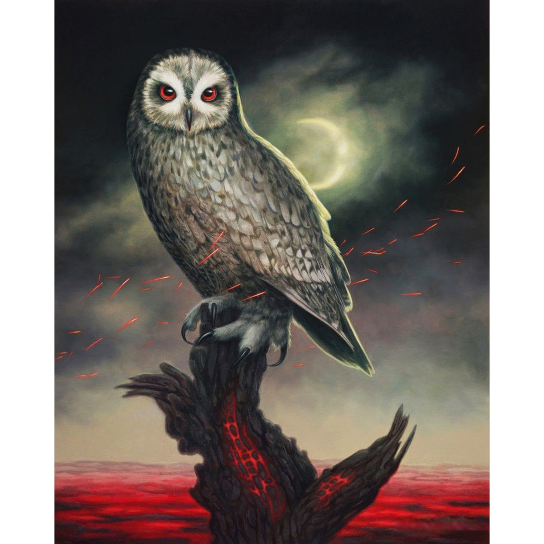 Owl | Diamond Painting