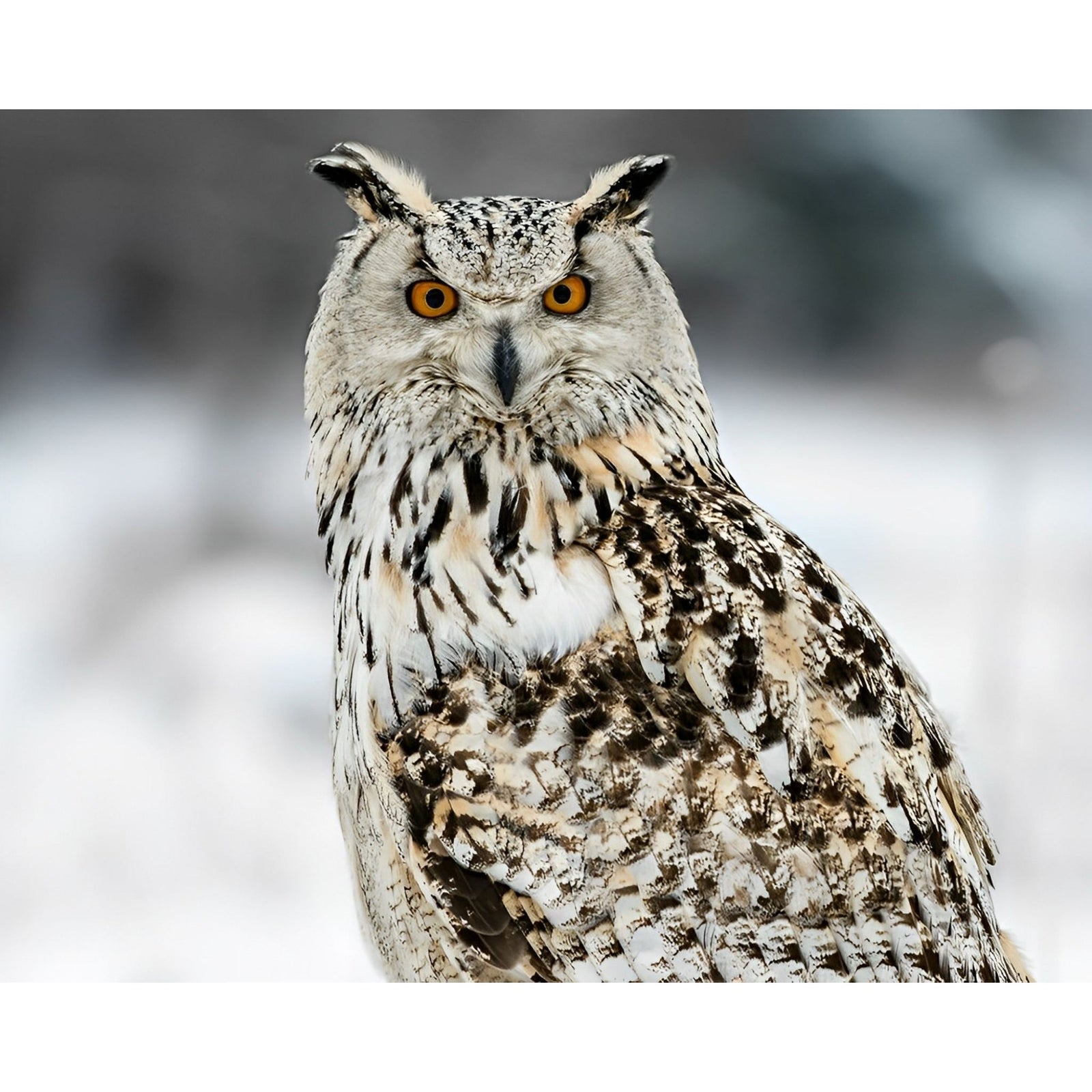 Snowy Owls | Diamond Painting Design - Full Drill Diamond Art with 5d Square or Round Diamonds - AB Drills Available