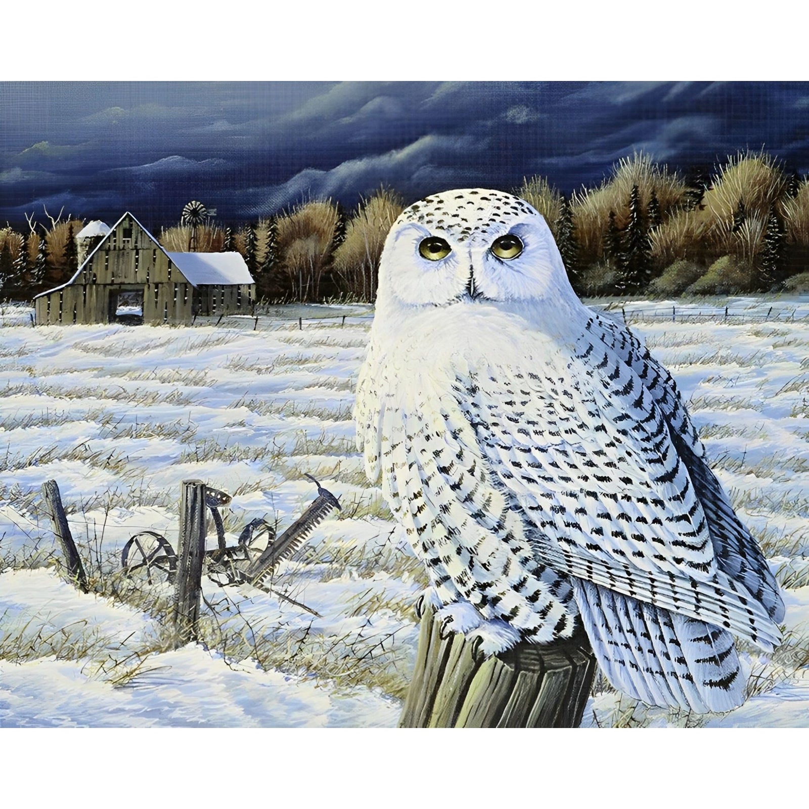 Snow Owl | Diamond Painting Design - Full Drill Diamond Art with 5d Square or Round Diamonds - AB Drills Available