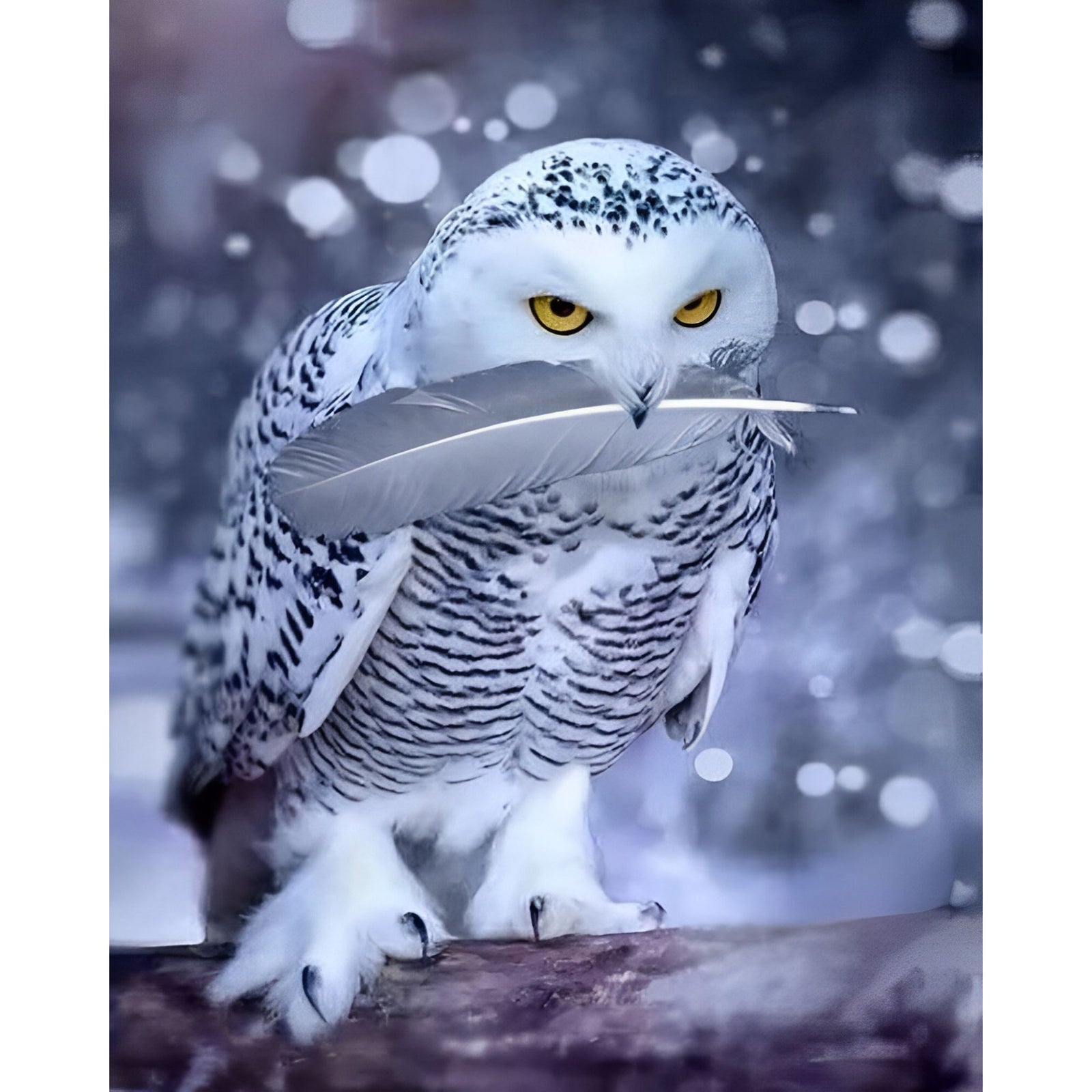 Arctic Owl | Diamond Painting Design - Full Drill Diamond Art with 5d Square or Round Diamonds - AB Drills Available