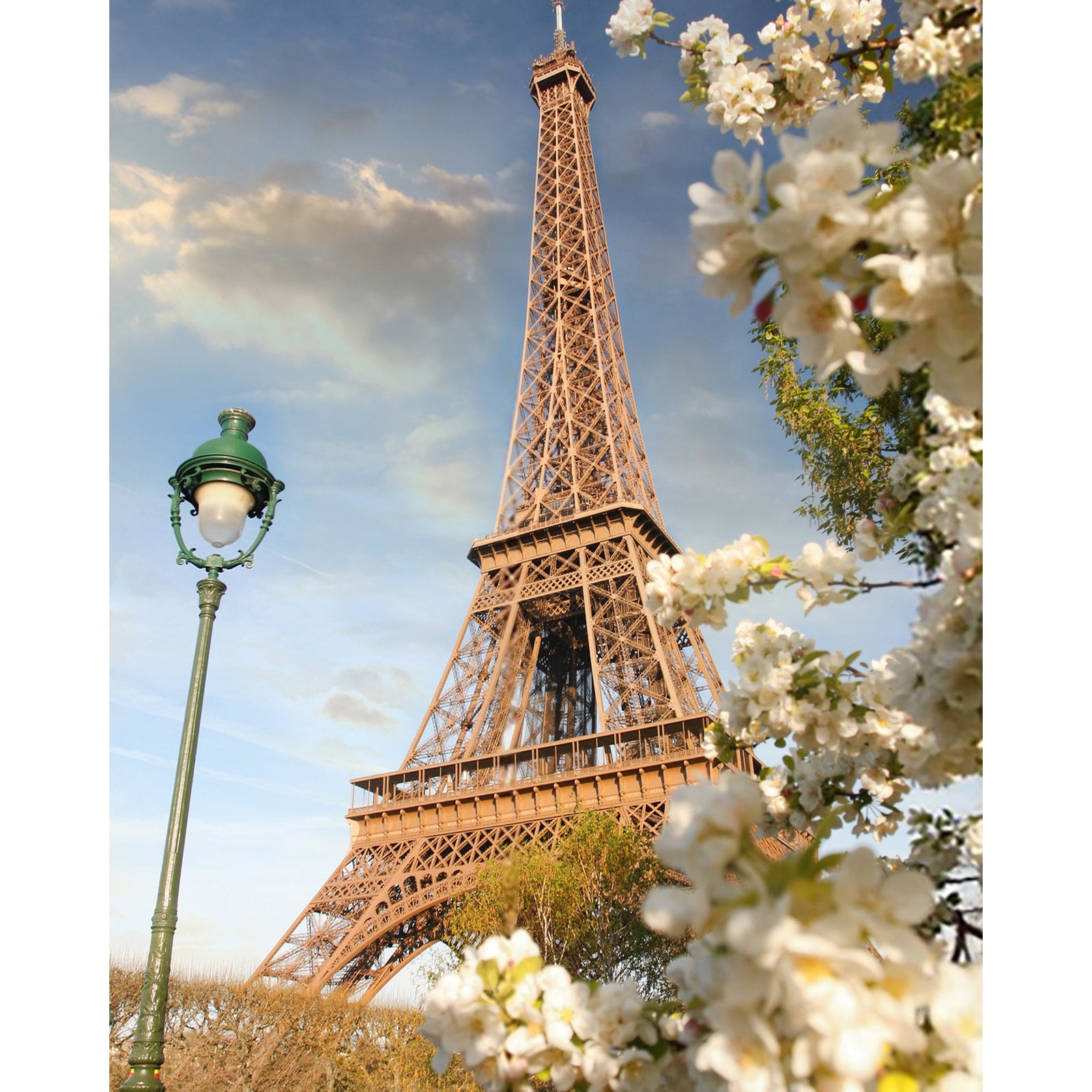 Romantic Paris Bloom | Diamond Painting Design - Full Drill Diamond Art with 5d Square or Round Diamonds - AB Drills Available