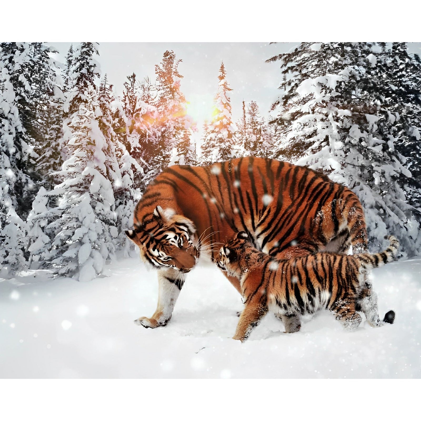 Tigers in Snow | Diamond Painting Design - Full Drill Diamond Art with 5d Square or Round Diamonds - AB Drills Available