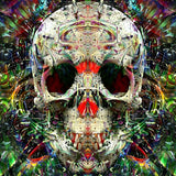Skull Illusion | Diamond Painting Design - Full Drill Diamond Art with 5d Square or Round Diamonds - AB Drills Available