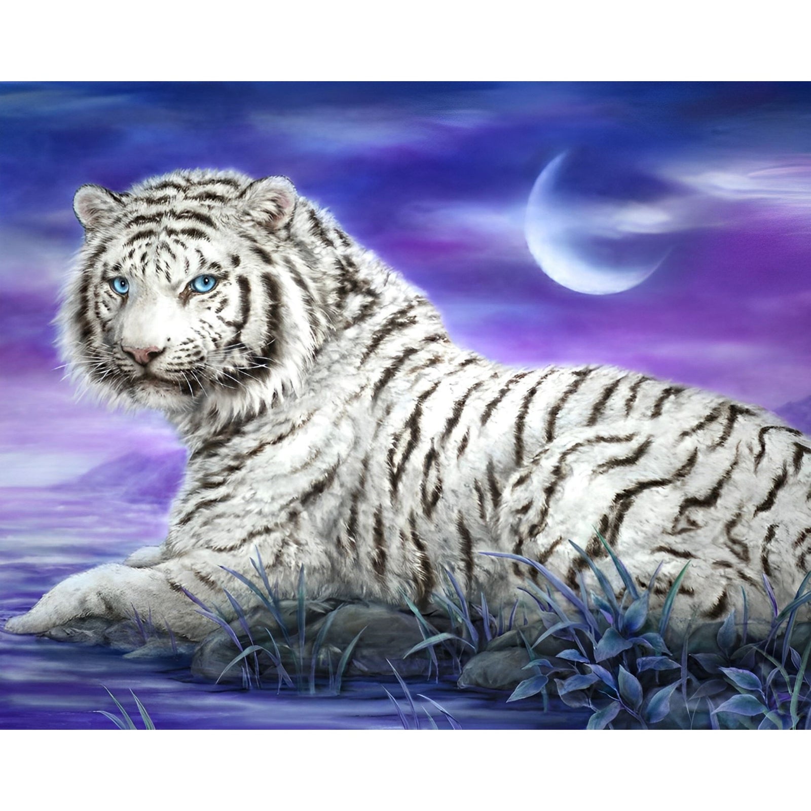 White Tiger | Diamond Painting Design - Full Drill Diamond Art with 5d Square or Round Diamonds - AB Drills Available