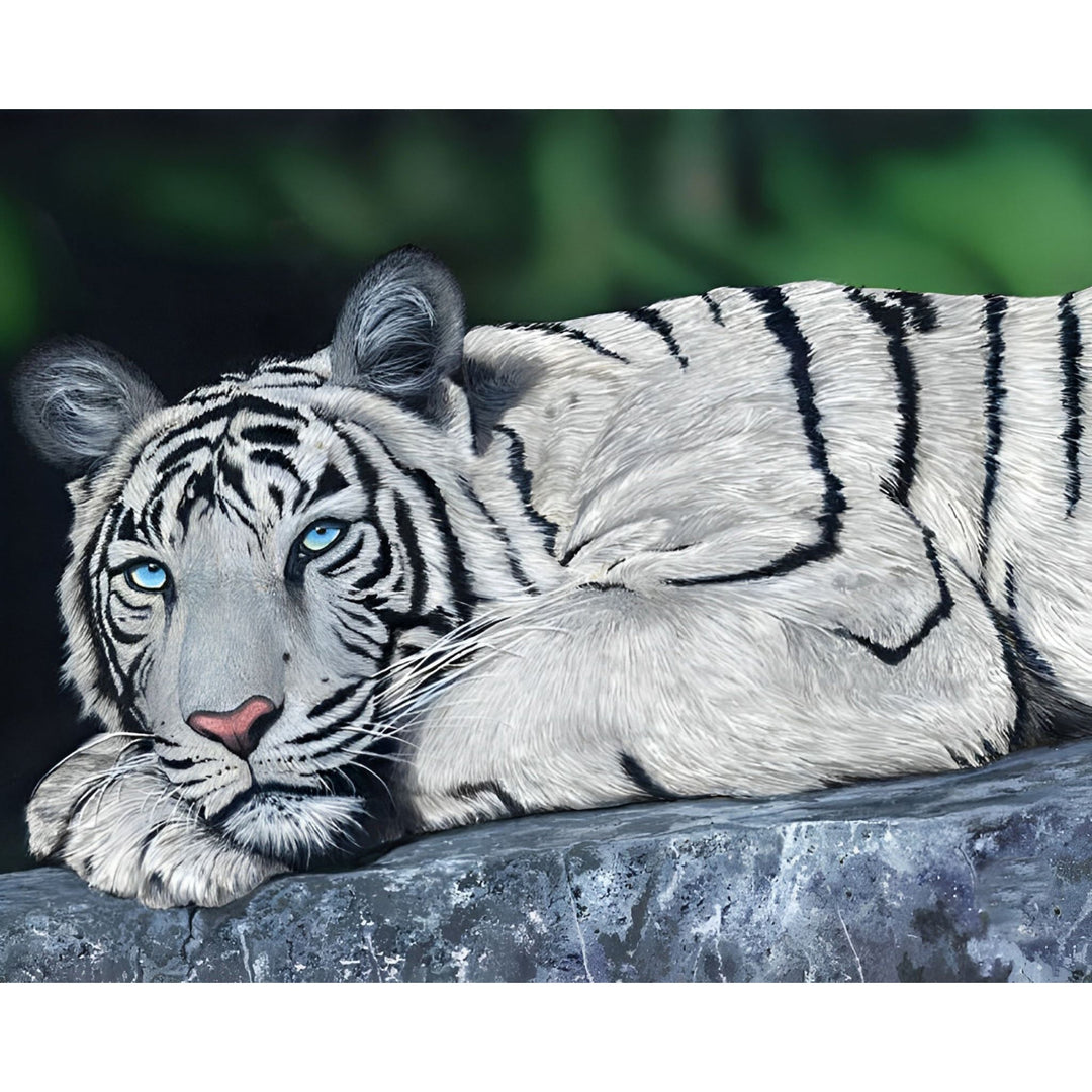 White Tiger | Diamond Painting