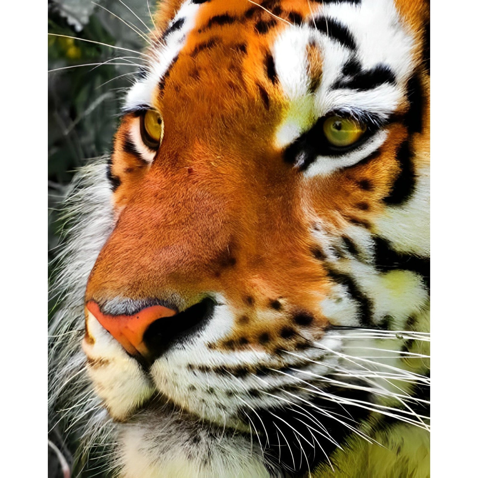 Pensive Tiger | Diamond Painting Design - Full Drill Diamond Art with 5d Square or Round Diamonds - AB Drills Available