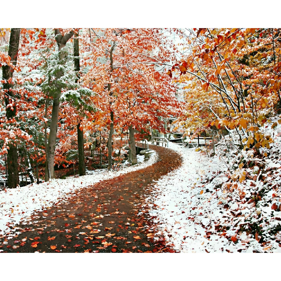 Autumn Across Winter | Diamond Painting