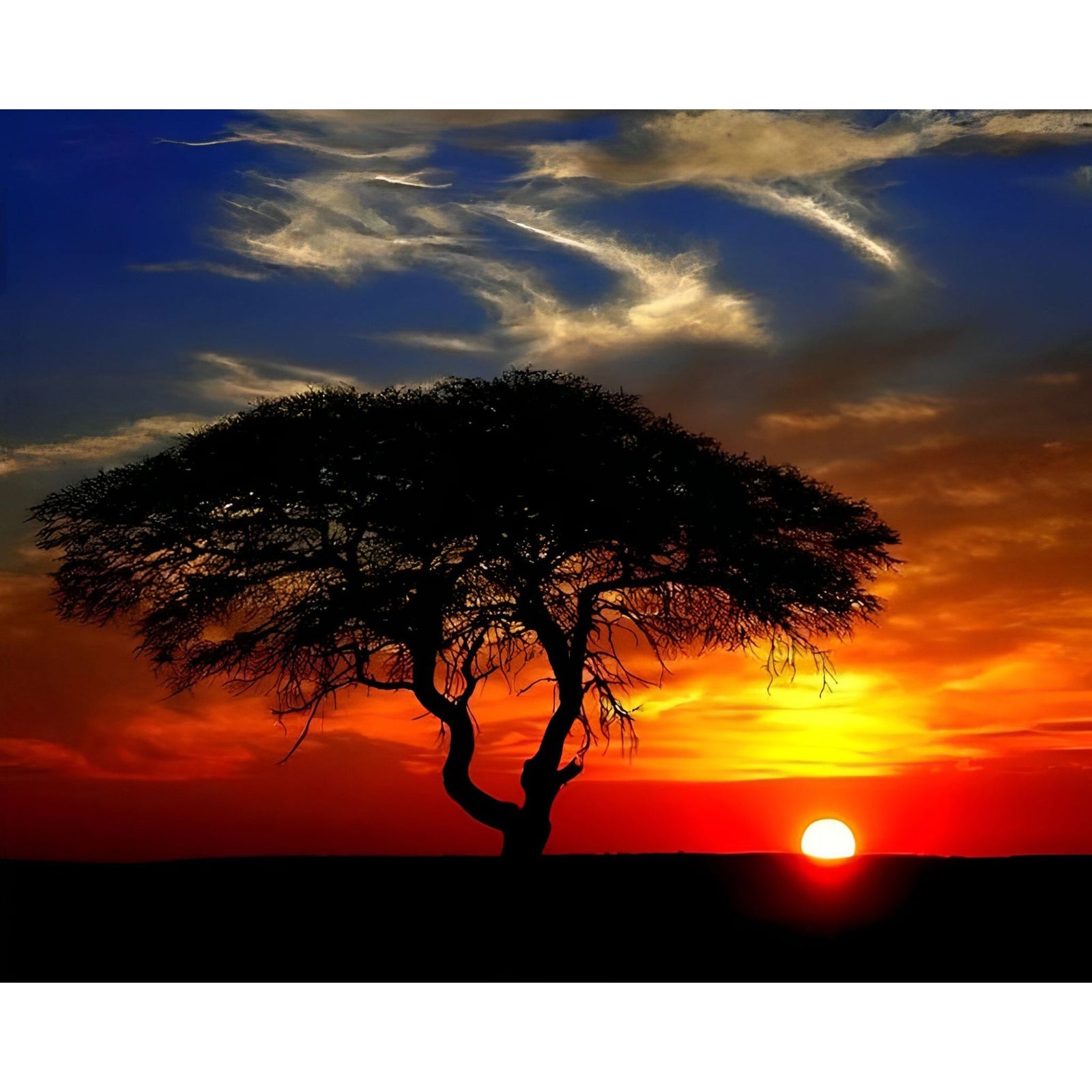 African Landscape Sunset | Diamond Painting Design - Full Drill Diamond Art with 5d Square or Round Diamonds - AB Drills Available