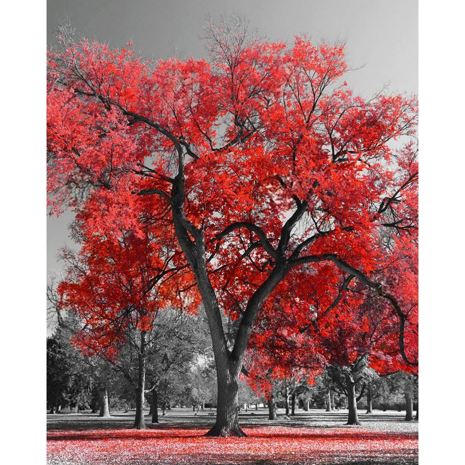 Big Red Tree | Diamond Painting Design - Full Drill Diamond Art with 5d Square or Round Diamonds - AB Drills Available