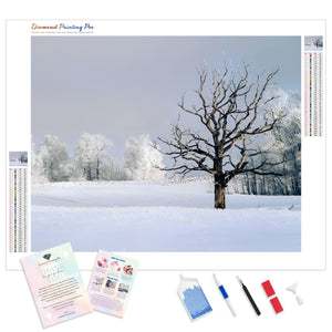 Winter Contrasts | Diamond Painting