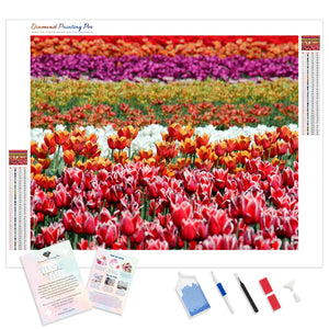 Field of Tulips | Diamond Painting