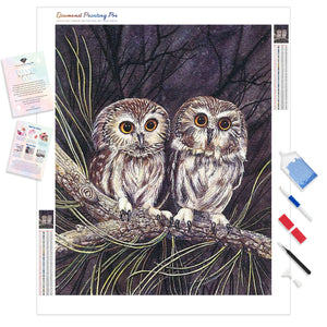 Owl Twins | Diamond Painting