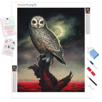 Owl | Diamond Painting