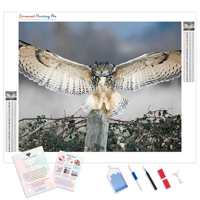 Majestic Owl | Diamond Painting Kit - Full Drill - Square or Round Diamonds with AB Drills Option