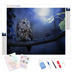 Night Owl | Diamond Painting