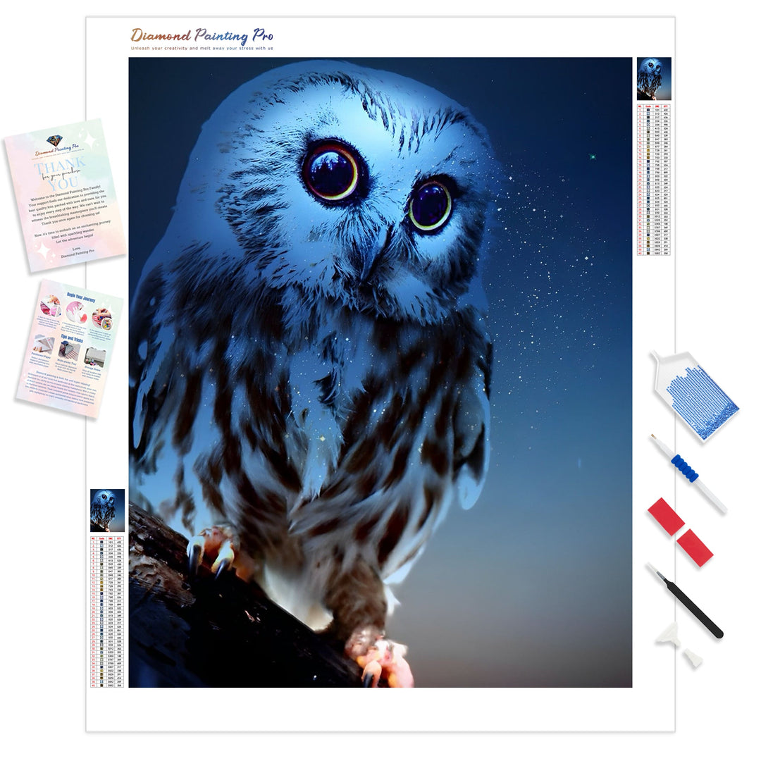 Owl | Diamond Painting