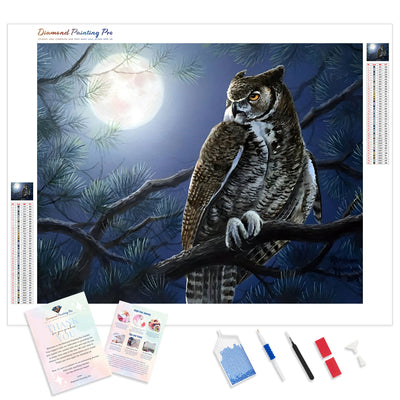 Night Owl | Diamond Painting