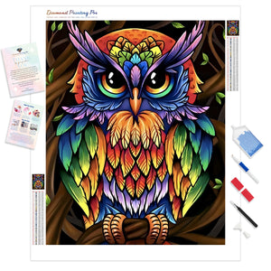 Rainbow Hoot | Diamond Painting