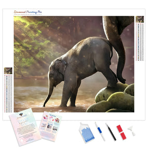 Baby Elephant Bath | Diamond Painting