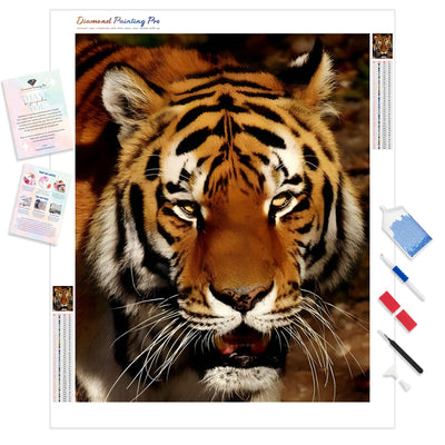 Orange Beast | Diamond Painting Kit - Full Drill - Square or Round Diamonds with AB Drills Option