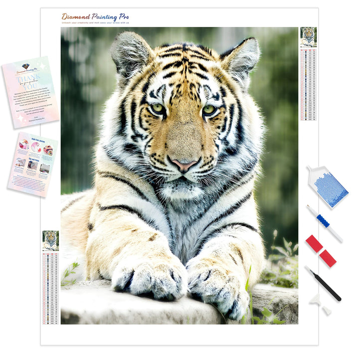 Tiger | Diamond Painting