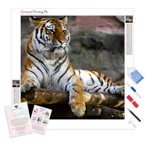 Tiger | Diamond Painting