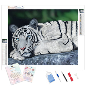 White Tiger | Diamond Painting